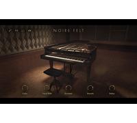 Native Instruments Native Instruments Noire