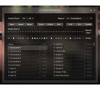 Native Instruments Native Instruments Session Guitarist Picked Acou.