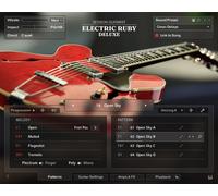 Native Instruments Native Instruments SG Electric Ruby Deluxe