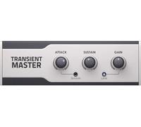 Native Instruments Native Instruments Transient Master