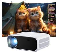 Native Projecteur 1080P avec WiFi et Bluetooth, 15000 Lumen Portable Outdoor Movie Mini Projecteur Compatible avec iOS/Android/Ordinateur Portable/HDMI/PC/TV Stick/USB
