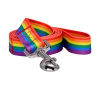Native Pup Laisse pour Chien avec Drapeau Arc-en-Ciel Gay Pride LBGTQ 1,5 m (Arc-en-Ciel)