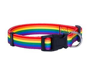 Native Pup Rainbow Flag Dog Collar Gay Pride Stuff for Parade, LGBTQ Flags Equality Pet Apparel Decor Gift and LGBT Ally Accessories (Medium)