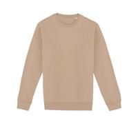 Native Spirit - Sweat - Adulte (PC5129)