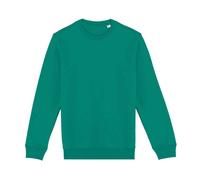 Native Spirit - Sweat - Adulte (PC5129)