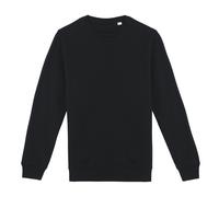 Native Spirit - Sweat - Adulte (PC5129)