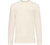 Native Spirit - Sweat - Adulte (PC5129)