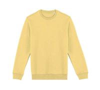 Native Spirit - Sweat - Adulte (PC5129)