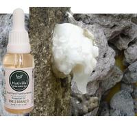 Nativilis Huile Essentielle d'Encens Brésilien Breu Branco - Protium heptaphyllum - Huile Naturelle Amazonienne Anti-inflammatoire Antiseptique Analgésique Apaisant Peau Sèche Grasse Propriétés
