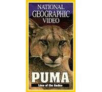 Nat'l Geo: Puma Lion of Andes [VHS]