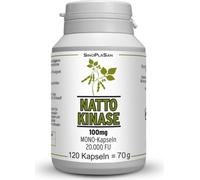Nattokinase 100 mg Mono 20.000 FU Kapseln 120 St