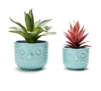Nattol Lot de 2 Pots de Fleurs en Forme de Chouette avec Drainage Turquoise