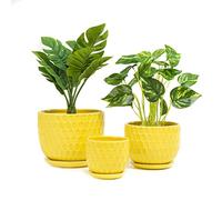 Nattol Lot de 3 Pots de Fleurs Jaunes en céramique avec soucoupes, Pots de Fleurs Ronds Modernes en céramique avec Texture inspirée du nid d'abeille, Taille S à M