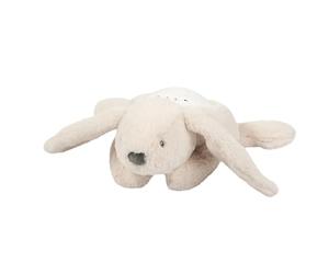 Nattou Veilleuse LED Koala Bear, Projecteur de ciel étoilé, 3 couleurs LED, 5 sons et chansons, Peluche/Polyester, 26 cm, Beige
