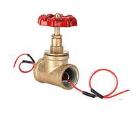 Natudeco Interrupteur de Lumière de Vanne D'arrêt de Style 3/4 Pouces Interrupteur de Lumière Rotatif de Soupape D'arrêt Industriel Vintage pour Lampe de Conduite D'eau