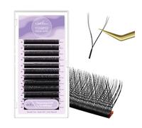Natuhana Colorées YY Extension Cils 0.07mm L Curl 8-14mm Mixte Forme Y 2D Premade Fan Bouquet Volume Russe Naturel Cils Professionnel Eyelash Extensions(Noir, 0.07, L, 8-14mm)