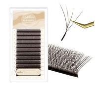 Natuhana Extension Cils En Forme de W 4D 0.07 L Curl 8-14mm Mixte Classique Easy Fan Naturel Volume Russe Faux Cils Professionnel Brun Eyelash Extensions(0.07mm, L, 8-14mm)