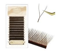 Natuhana YY Extension Cils 0.07mm D Curl 8-12mm Mixte Forme Y 4D Premade Fan Bouquet Volume Russe Naturel Cils Professionnel Eyelash Extensions(Marron, 0.07, D, 8-12mm)