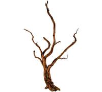 Natunae - Bois Red Spider King Wood, racine décorative pour aquarium, terrarium, paludaire S 20-30 cm
