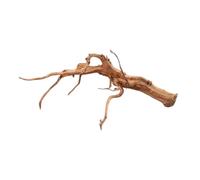 Natunae - Bois Red Spider King Wood, racine décorative pour aquarium, terrarium, paludarium XS <20 cm