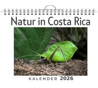 Natur in Costa Rica: (Wandkalender 2026, Kalender DIN A4 quer, Monatskalender im Querformat mit Kalendarium, das perfekte Geschenk)