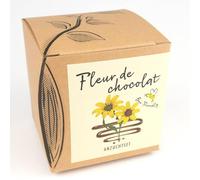 NATUR KRAFTWERK Coffret Cadeau de Culture Fleur de Chocolat - Fleur de Chocolat