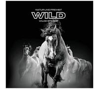 Natur Und Freiheit Wild Wilde Pferde
