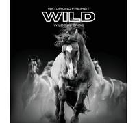 Natur Und Freiheit Wild Wilde Pferde