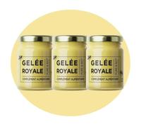 NATURA FORCE - 100g de Gelée Royale Bio - Gelée Royale 100% Pure - Complément Alimentaire Naturel & Bio - Énergie, Immunité et Vitalité - Riche en Vitamine B - Le pot - Lot de 3