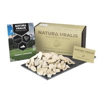 Natura Uralis Argile Jaune de Sibérie | 1000g d'Argile Naturelle, Pastel à Doré - Croquant Etonnant, Texture Terreuse, Veloutée et Ferme Satisfaisante, Sensation ASMR