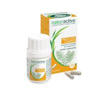 naturactive Prêle des Champs Capsule(S) 30 pc(s)