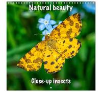 Natural beauty. Close-up insects (Wall Calendar 2026 12 × 12 Inch) CALVENDO 12 Month Wall Calendar: Journey to the heart of insects, a close-up exploration of French meadows