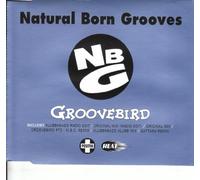 Natural Born Grooves - Groovebird(6remix)