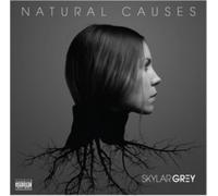 Skylar Grey - Natural Causes