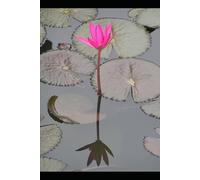 Natural Fiber Industries and the Future of Sustainable Materials: Decentralized Rural Economy through Plant-Based Alternatives to Plastic and Green Industrial Innovation