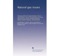 Natural gas issues: Hearings before the Subcommittee on Fossil and Synthetic Fuels of the Committee on Energy and Commerce, House of Representatives, Ninety-seventh Congress, second session (Volume 2)