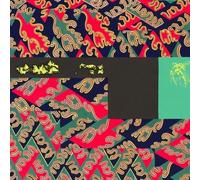 Natural Information Society / Parker,Evan - Descension (Out Of Our Constrictions) (Aguirre Edition) [Vinyl Lp]