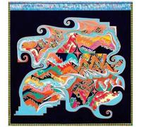 Natural Information Society - Since Time Is Gravity [Vinyl Lp]