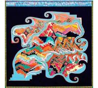 Natural Information Society - Since Time Is Gravity [Vinyl Lp]