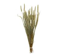 NATURAL LIVING" BLE Naturel en Botte H70CM