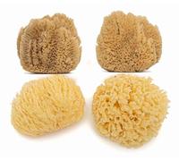 Natural Ocean Lot de 4 éponges de mer douces naturelles et jaunes pour nouveau-né de 0 à 8 mois pour le nettoyage du visage et les loisirs créatifs Taille S (6,5 à 8,5 cm)