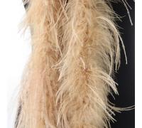 Natural Ostrich Feather Shawl 2M Elegant Trim(Camel)