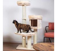 Natural Paradise - Arbre à chat Magnolia L | Avec plusieurs niveaux | H 137 x L 78 x l 81 cm (Crème)