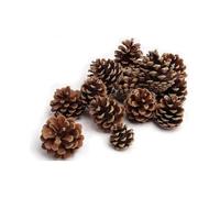 Natural Pine Cones, Approximately 5 - 6 cm, 1 kg, Suitable for Black Pine, Great for Christmas and Advent Decoration