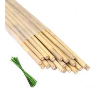 Natural Plant Stakes 45cm For Tomatoes Vegetables Orchids | Sustainable Natural Material, pour durable Outdoor Design, Smooth Tip Protects Roots, Includes 20 Stakes And Cable Ties