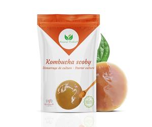 Natural Probio® Original Kombucha Scoby - Kit de démarrage de Culture - Mere de Kombucha de souche Authentique + Notice complète, Recette et Conseils + Accès Ebook offert