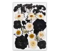 Natural Real Leaf Marque-page pour livre de lecture, avec motif floral pressé artistique, en noir, pour étudiants et enseignants