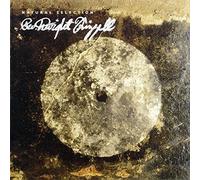 Natural Selection by REV. DWIGHT FRIZZELL (2012-11-20)