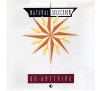 NATURAL SELECTION - DO ANYTHING 12 INCH (12" SINGLE) UK EAST WEST 1991