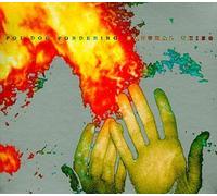 Natural Thing by Poi Dog Pondering